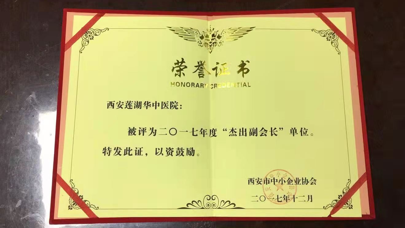 中小企业协会杰出副会长